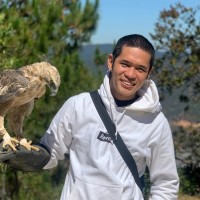 Hai Phan Nguyen