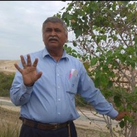 Ramesh Babaria
