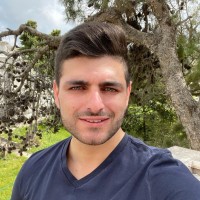 Amir Halaby