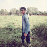 M U S Siddeeqi
