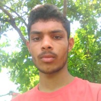 Bhupendra Singh Rajput