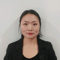 Li Wang