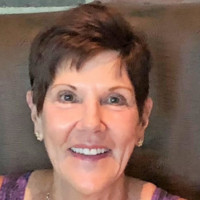 Judy Nicoletti