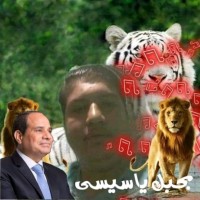 حسن عبد المجيد خليفه