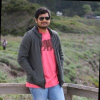 Vikas Mamidi