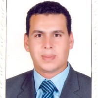 Said Elsharkwi