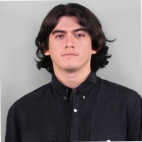David Alberto Merlo Pineda