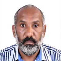 Tarig Abd Elgadir Mohammed Saeed (Pmp®)