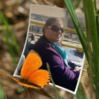 aysel ünsal