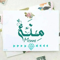 Menna Abdelmanem