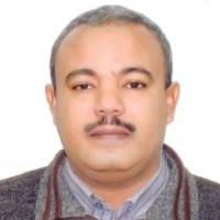 Hany Bassuony Alazab