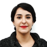 marcia villalobos labrin