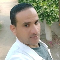 Essam Abdalah Fayed