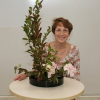 Kim Margolin