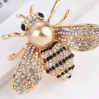 Bee Discovery