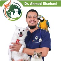 Ahmed Elsebaei
