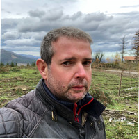 Pedro P. Arauzo Alonso