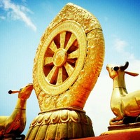 吴云东