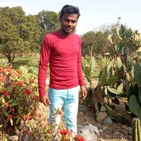 Umesh Raj