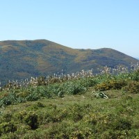 Álvaro Santos Pérez