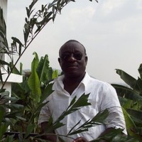 Reginald Darko