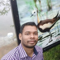 Ashis Ranjan Pradhan