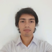 Lucas Hideki Oliveira Ueno