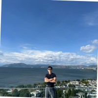 VIK LV
