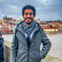 Mahmoud Aamer
