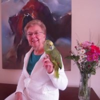 Wanda Bedinghaus, Md Ifmcp