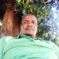 Tsumbedzo Justice