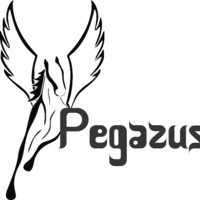 Pegazus Transporte