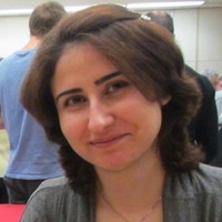 Simin Razavi