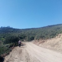 Fatah Sidi