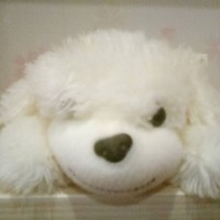 杜洪明