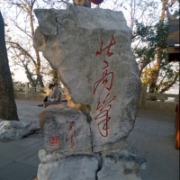 朱俊君
