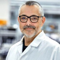 Daniel Greinert