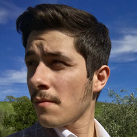 Alfonso Garibay