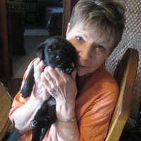 Carol Morse
