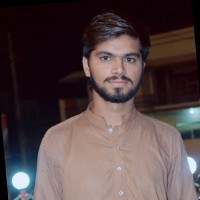 Muhammad Hamza Saleem