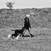 Whitburn Walkies