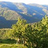Nathalie Mt
