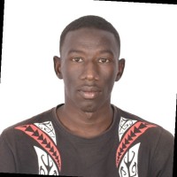 Mamadou Hamidou Diallo