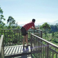 Fadriyansyah Saputra