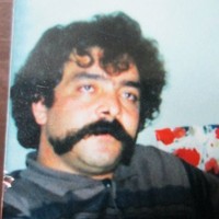 Ali Kamali