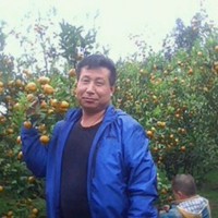 刘银福