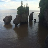 Rick Creek