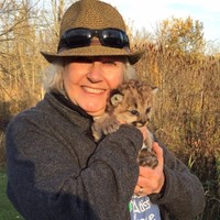 linda harrison-parsons