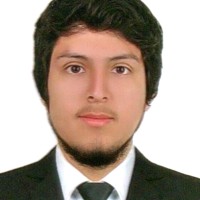 Raul Alvaro Vidal Trujillo