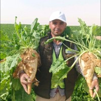 احمد يوسف محمد النشارين